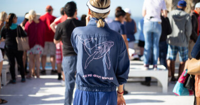Best Whale Watching Los Cabos Boat Tour with Breakfast