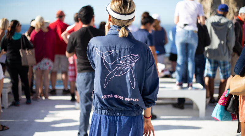 Best Whale Watching Los Cabos Boat Tour with Breakfast