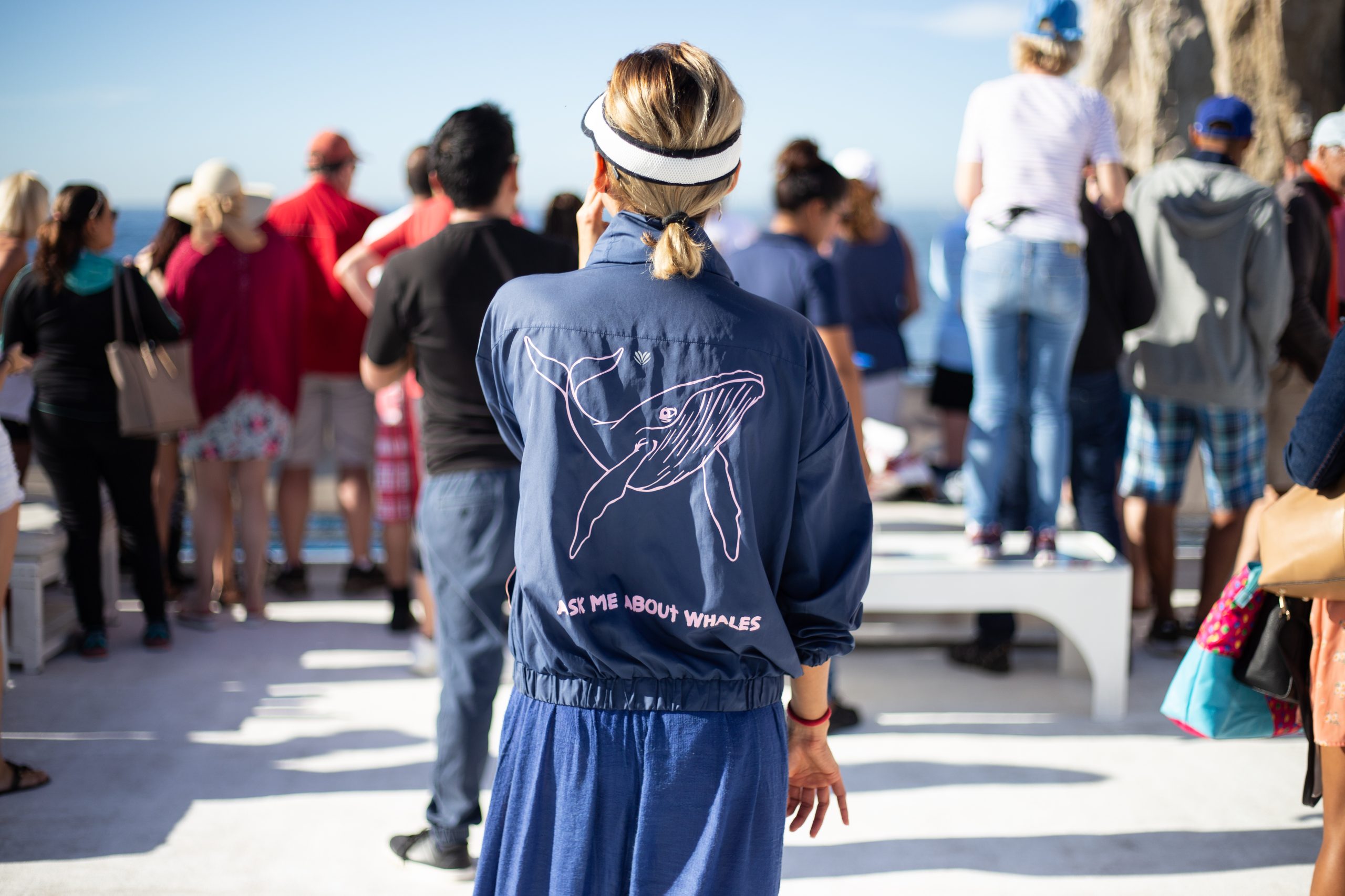 Best Whale Watching Los Cabos Boat Tour with Breakfast