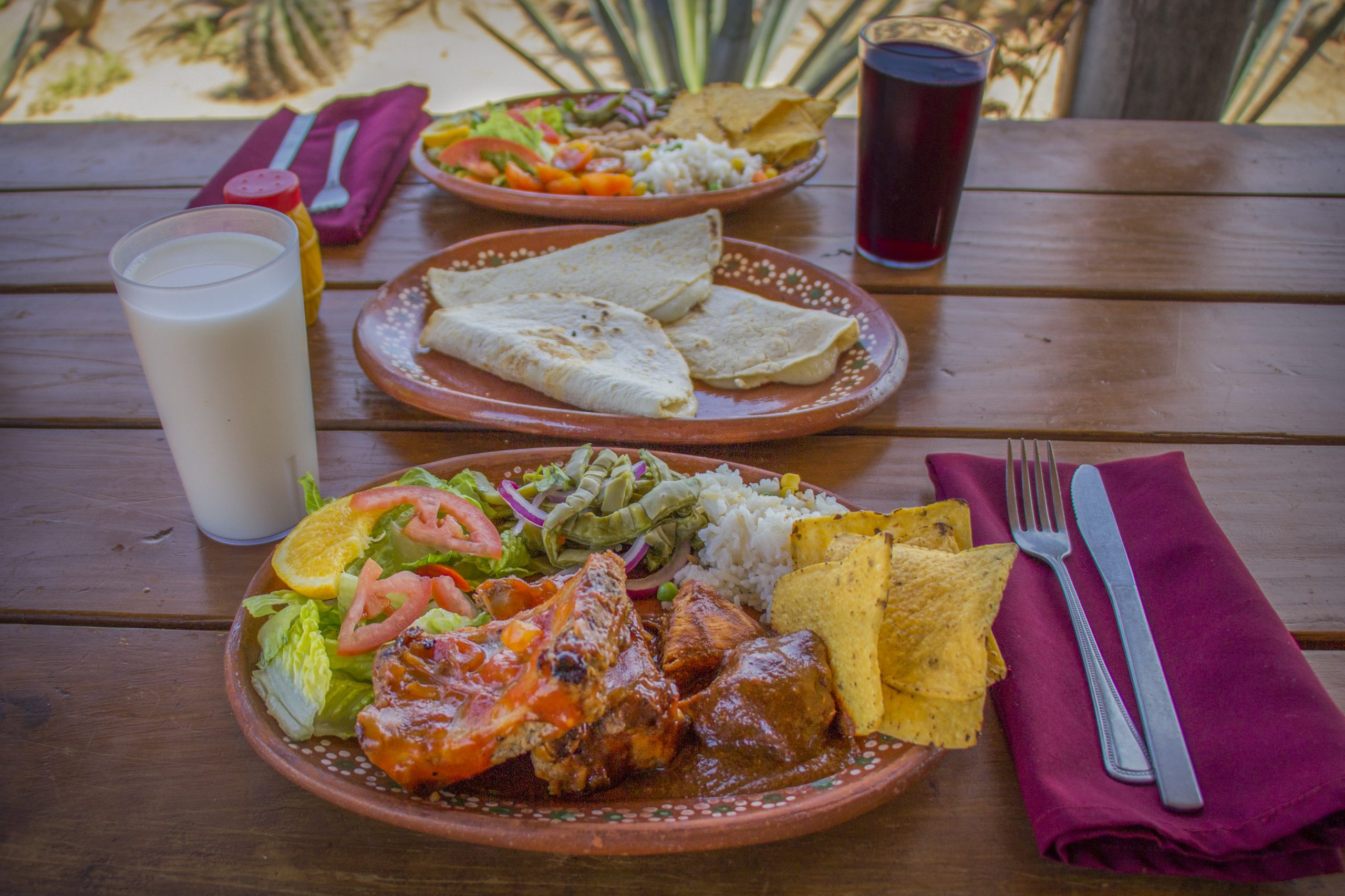 Camel Ride in Los Cabos Camel Guided Tours Cabo San Lucas Tour de Camellos Tequila Tasting