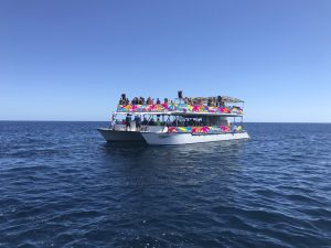 Best Whale Watching Los Cabos Boat Tour with Breakfast