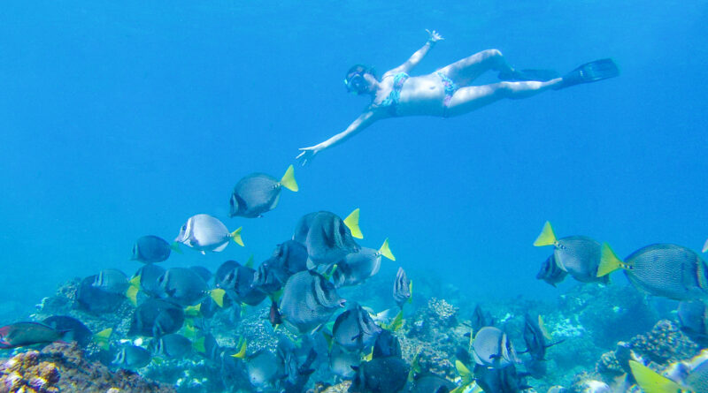 Snorkel en Los Cabos