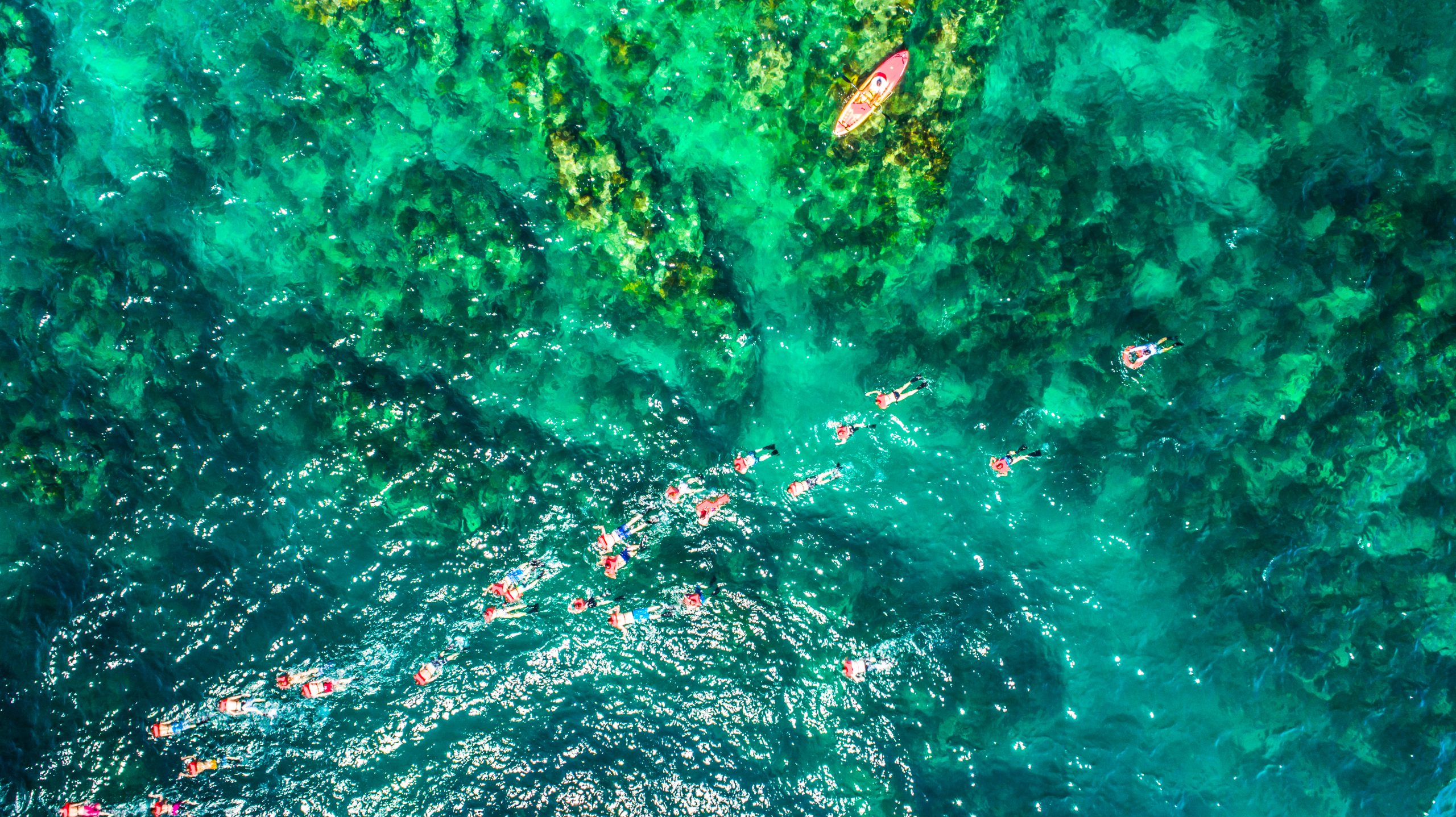 Actual_breakfast_snorkeling_tour 6