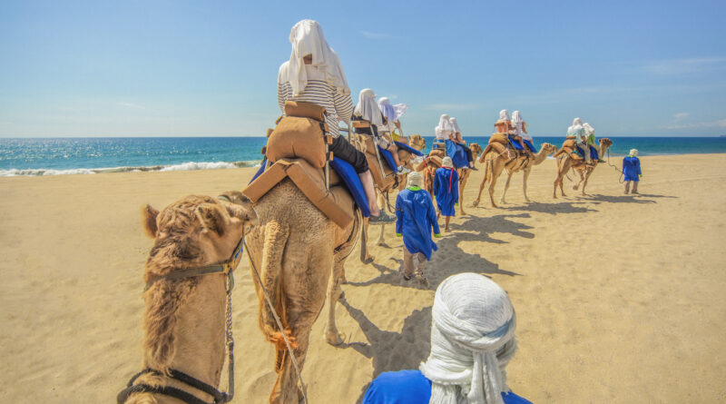 Camel ride safari
