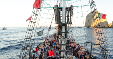 Cabo Pirates Best Whale Watching Los Cabos Boat Tour with Breakfast PIRATE ADVENTURE