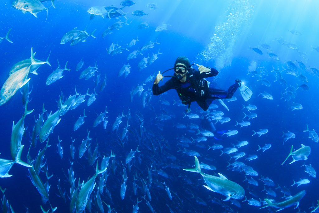 CABO PULMO DIVING TOUR Atraction los cabos