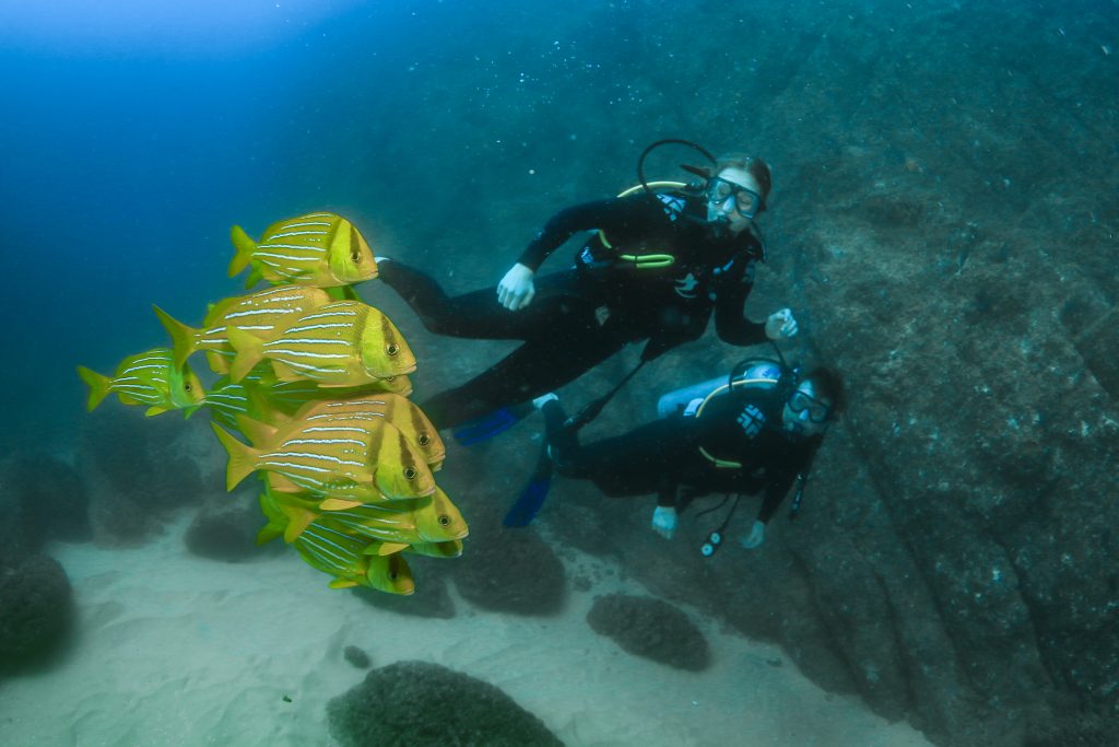 Cabo Pulmo Diving Tour certified divers diving excursion snorkeling full tour